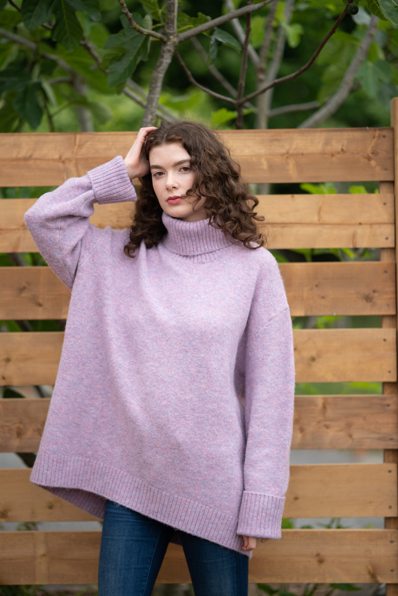 Dog Walker Sweater