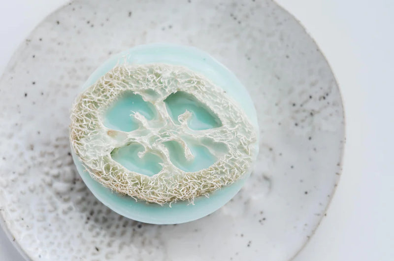 Fresh Loofah Soap
