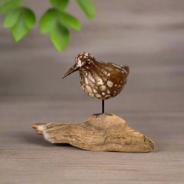 Dritftwood Bird Decor