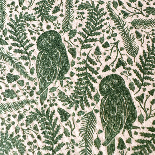 "Archimedes" Owl Swedish Dishcloth